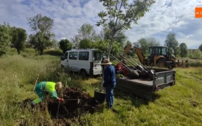 La Alameda de la Moretona empieza a recibir nuevos árboles