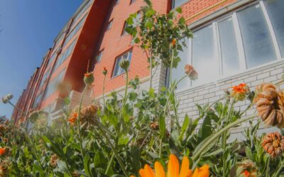 Monitorización de impactos sobre las variables de biodiversidad